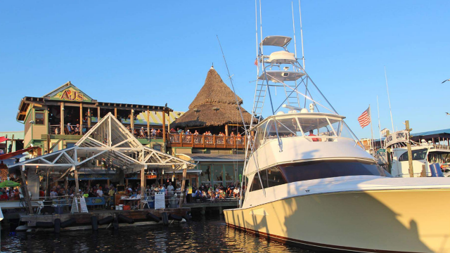 AJ's Seafood and Oyster Bar May Music Lineup AJ's Seafood and Oyster Bar May Music Lineup