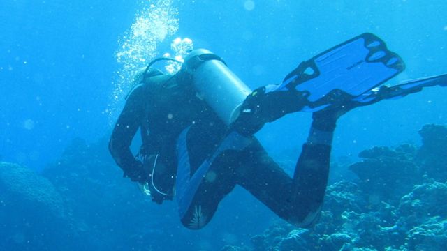 The ATOCHA... Real Treasure in the Florida Keys! The ATOCHA... Real Treasure in the Florida Keys!