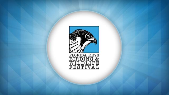 Florida Keys Birding and Wildlife Festival Florida Keys Birding and Wildlife Festival