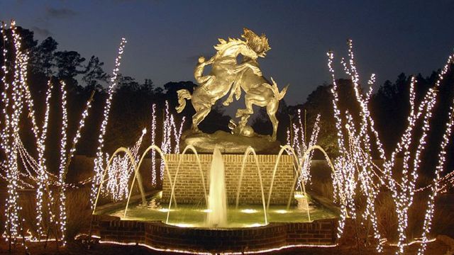 This Garden is HOT… even in the Winter! This Garden is HOT… even in the Winter!