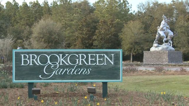 Cool Summer Evenings at Brookgreen Gardens Cool Summer Evenings at Brookgreen Gardens