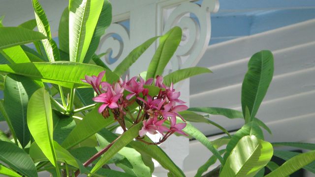 House and Garden Holiday Home Tours House and Garden Holiday Home Tours