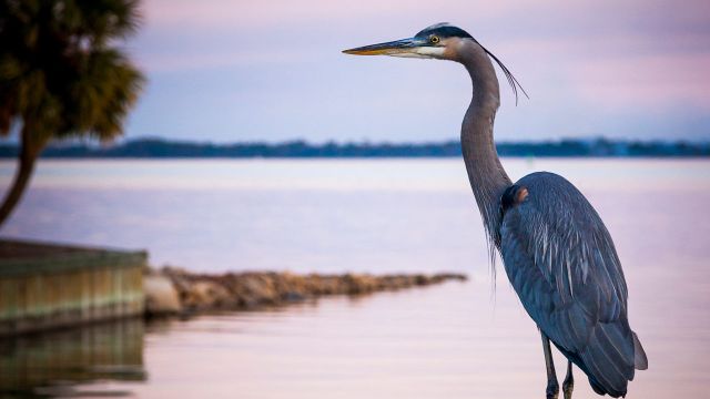 10 Interesting Facts About the Grand Strand 10 Interesting Facts About the Grand Strand