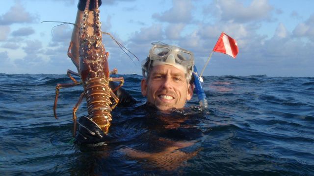 Lobster Season in the Florida Keys! Lobster Season in the Florida Keys!