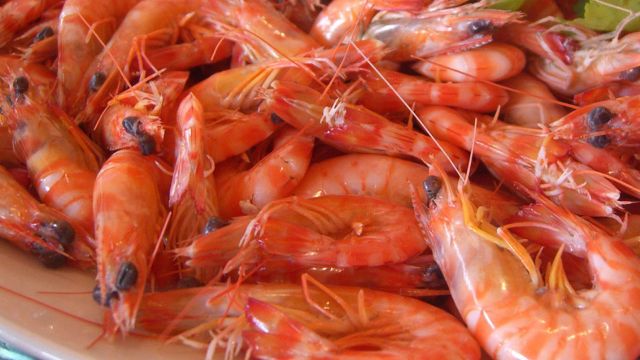National Shrimp Festival National Shrimp Festival