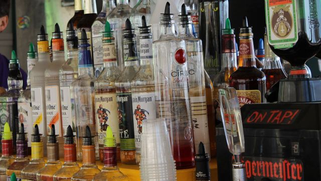 Spring Break Bars Spring Break Bars