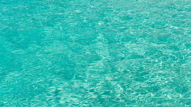Take the PLUNGE! Take the PLUNGE!