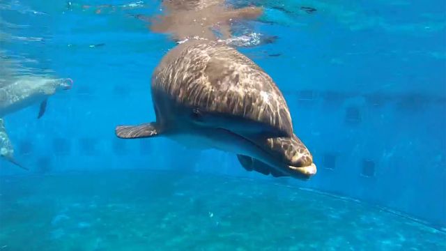 Ten Best Things to Do in Destin Ten Best Things to Do in Destin