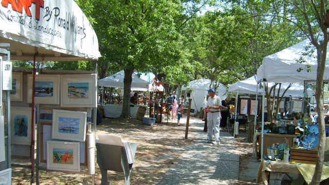 Yellow Daisy Festival Yellow Daisy Festival