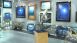 Wyland Art Galleries Wyland Art Galleries