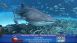 Aquarium Programs at Georgia Aquarium - Local News Aquarium Programs at Georgia Aquarium - Local News
