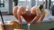 Best Restaurants for Dining at the Bar in the Florida Keys - Top 5 Best Restaurants for Dining at the Bar in the Florida Keys - Top 5