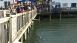 Lake Broadway Fish - Did You Know? Lake Broadway Fish - Did You Know?