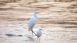 Mexico Beach - The Unforgettable Coast Mexico Beach - The Unforgettable Coast