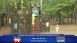 Brookgreen Gardens Storybook Forest - Local News Brookgreen Gardens Storybook Forest - Local News