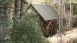 Blackwater River State Park Grist Mill - A Note of History Blackwater River State Park Grist Mill - A Note of History