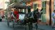Royal Carriages Royal Carriages
