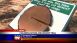 Childrens Nature And Sensory Trail - Local News Childrens Nature And Sensory Trail - Local News