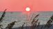 Runaway Island - Nightlife Runaway Island - Nightlife