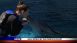 Gulf World By Dolphin Discovery - Local News Gulf World By Dolphin Discovery - Local News