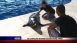 Gulfarium Marine and Adventure Park - Local News Gulfarium Marine and Adventure Park - Local News