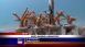 Mote Marine Laboratory - Local News Mote Marine Laboratory - Local News
