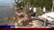 Florida Keys National Marine Sanctuary - Local News Florida Keys National Marine Sanctuary - Local News