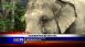 Audubon Nature Institute - Local News Audubon Nature Institute - Local News