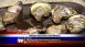 Dusty's - Local News Dusty's - Local News