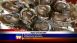 Boss Oyster Bar - Local News Boss Oyster Bar - Local News