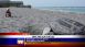 Save the Sea Turtles View Wildlife from a Distance - Local News Save the Sea Turtles View Wildlife from a Distance - Local News