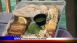 Ocean Key Resort - Dining Tip Ocean Key Resort - Dining Tip