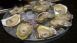 Best Oyster Bars from Destin, FL to Mobile, AL - Top 5 Best Oyster Bars from Destin, FL to Mobile, AL - Top 5