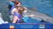 Gulfarium Accreditation by AMMPA - Local News Gulfarium Accreditation by AMMPA - Local News