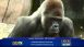 Audubon Zoo - Local News Audubon Zoo - Local News