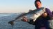 Mark Andollina from Cajun Tide Beach Resort - Local Faces, Local Places Mark Andollina from Cajun Tide Beach Resort - Local Faces, Local Places