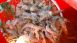 Ewell Smith & Troy Landry from Swamp People - Did You Know? Ewell Smith & Troy Landry from Swamp People - Did You Know?