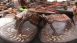 French Market Sandals - Gotta Shop French Market Sandals - Gotta Shop