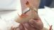 How to Prepare Shrimp - A Piece of Advice How to Prepare Shrimp - A Piece of Advice
