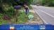 Spring Tide: A Day for the Inlet - Local News Spring Tide: A Day for the Inlet - Local News
