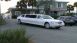 What's Your Story? with John Finch from Sunshine Shuttle & Limousine