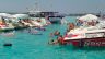Crab Island Adventure