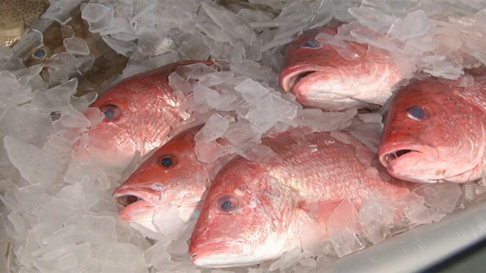 Tarpon Dock Seafood