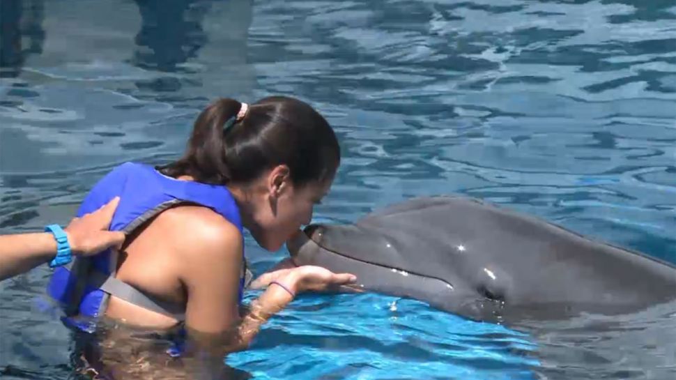 Gulfarium Marine Adventure Park