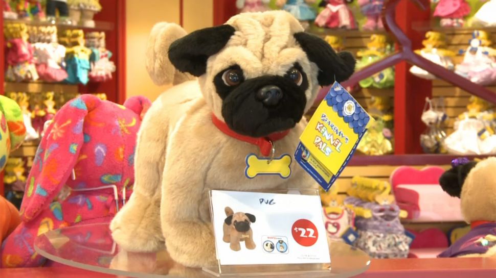 Build a bear usa website Build-A-Bear Workshop makes it special and lets each Guest make and take home a furry friend to love! Plan a Party Now. Recommended For You. Fun for Everyone. In-Store Events. Everybody come on in! See what’s happening at Build-A-Bear Workshop! Learn More.