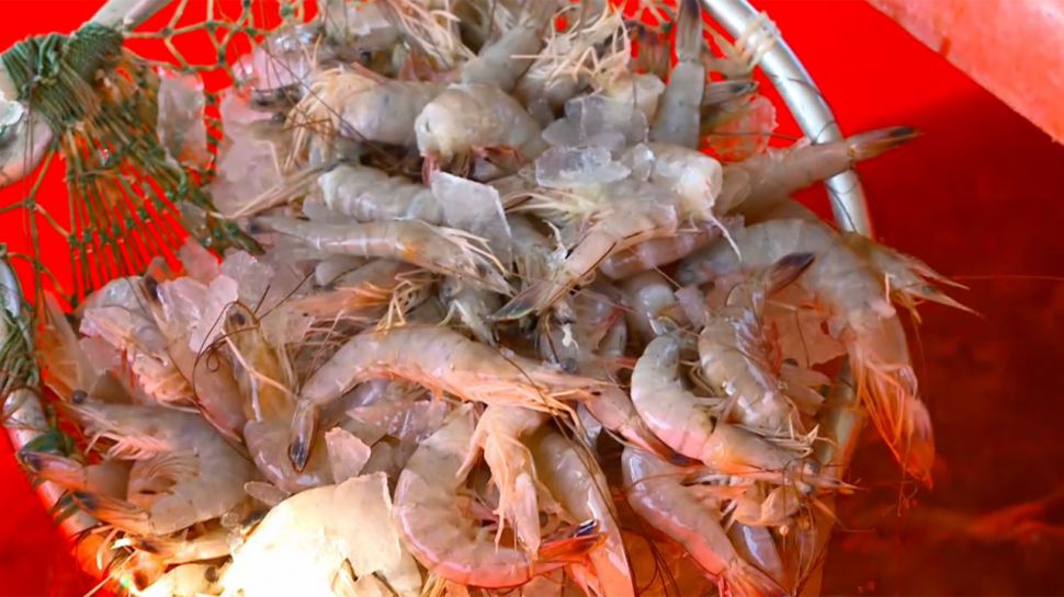 Ewell Smith & Troy Landry from Swamp People - Did You Know?