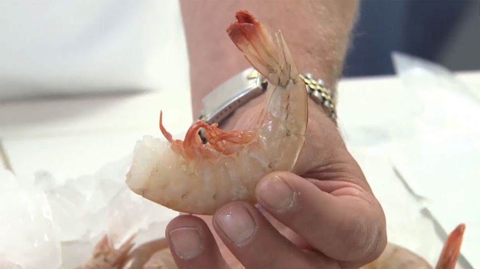 How to Prepare Shrimp - A Piece of Advice