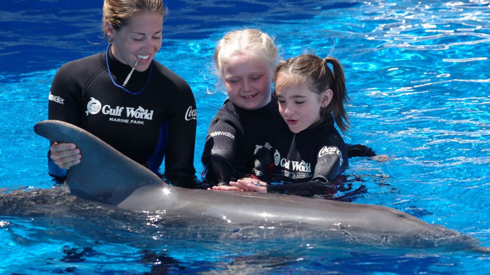 Gulf World Marine Park