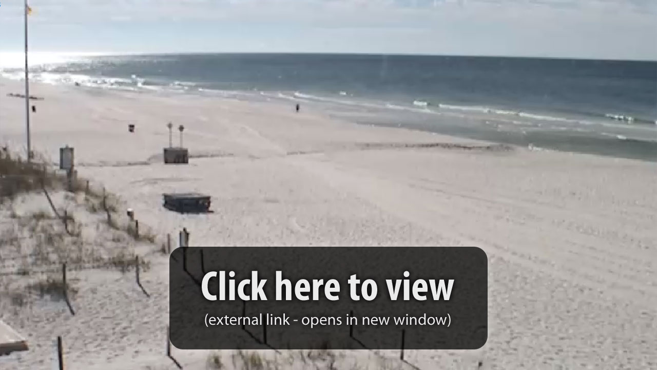Virginia Beach Cameras Live Virginia Beach Cameras Live