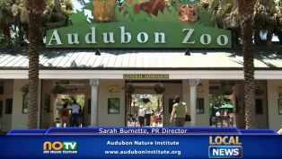 Audubon Institute - Local News Audubon Institute - Local News